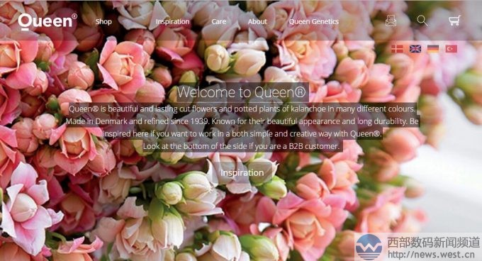 �r���K�˱��з���ٳ���������r��800�f��Queen.com�Ԛw��������