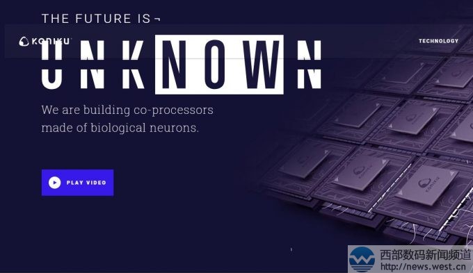 K˻20fԪMikeMannI@